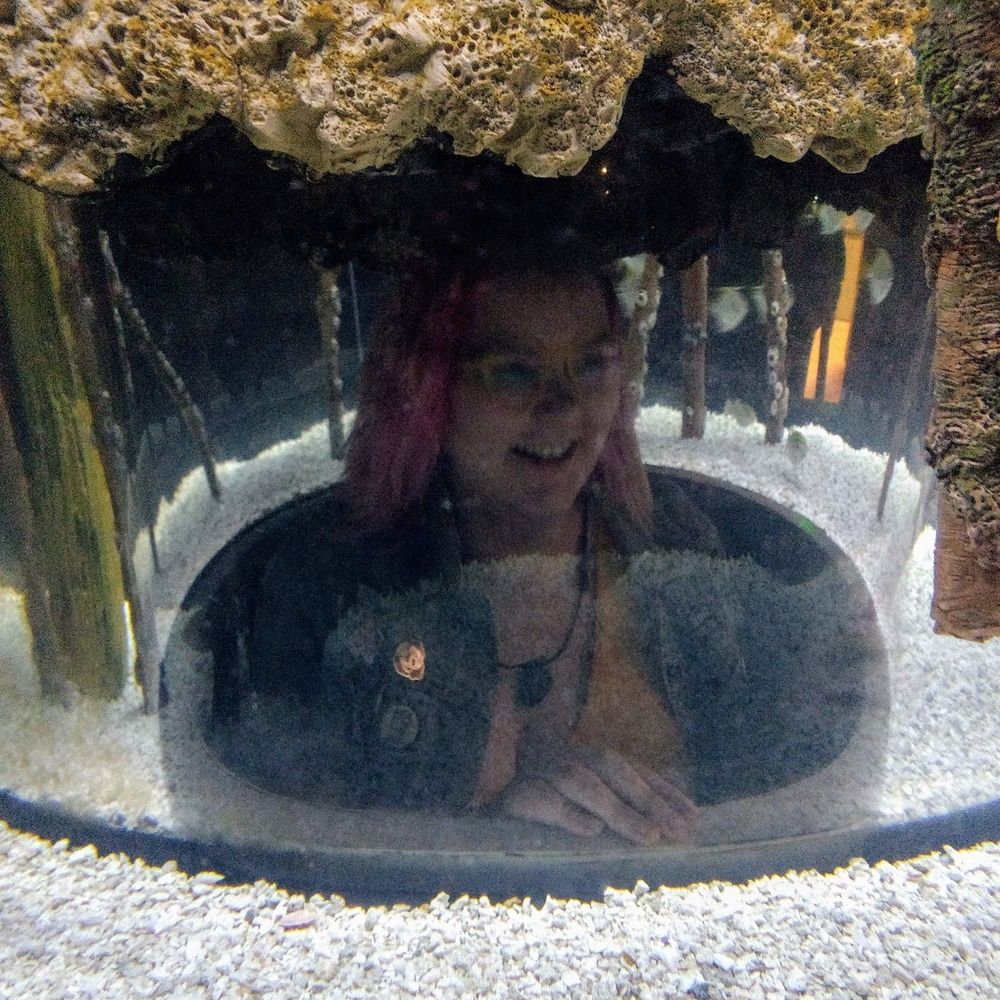 Meet your Posher, Bailey